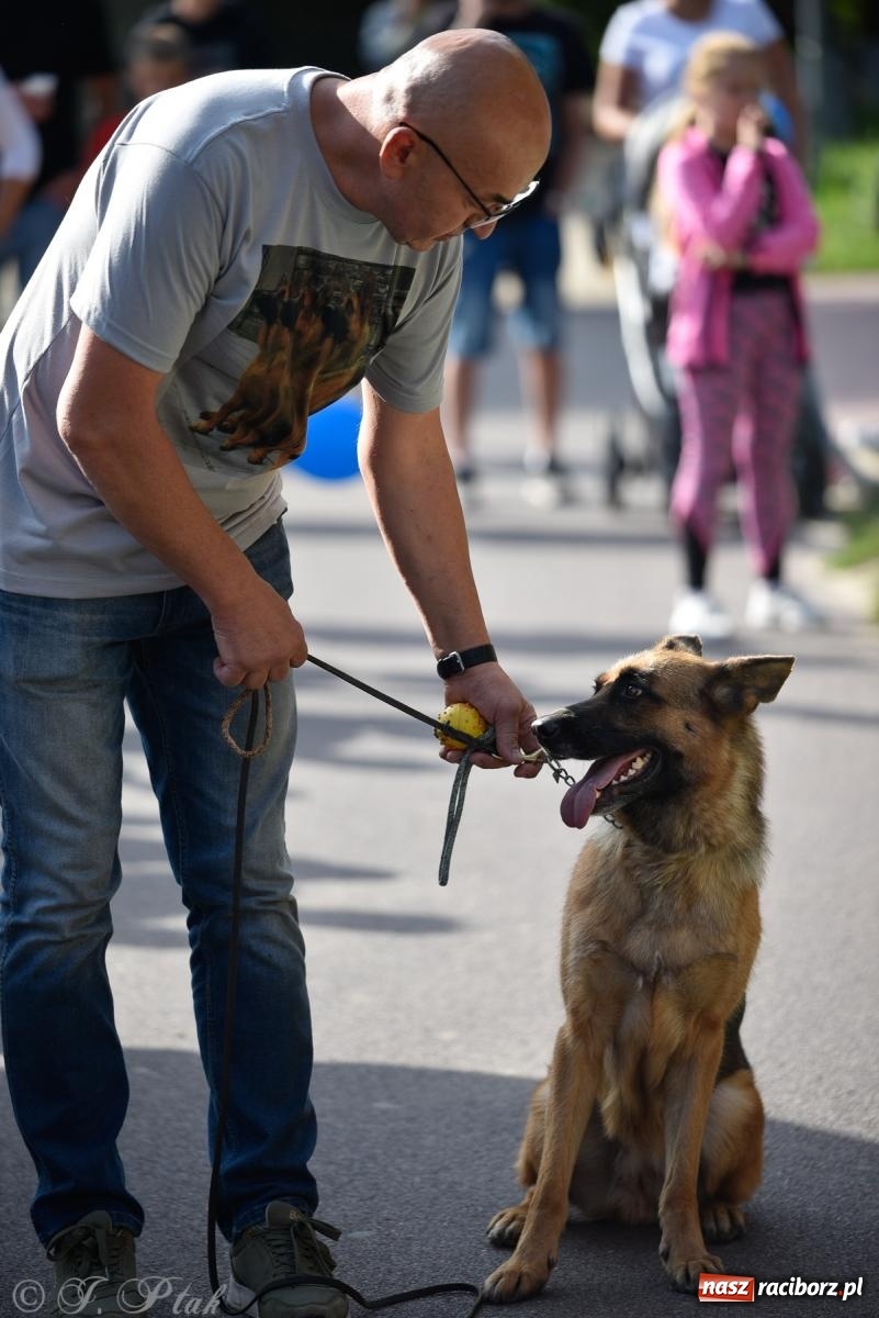 Zdjęcie w galerii na portalu naszraciborz.pl: Pieska plaża w Raciborzu. Miłośnicy czworonogów nad Odrą [FOTO i WIDEO] wiadomości z regionu