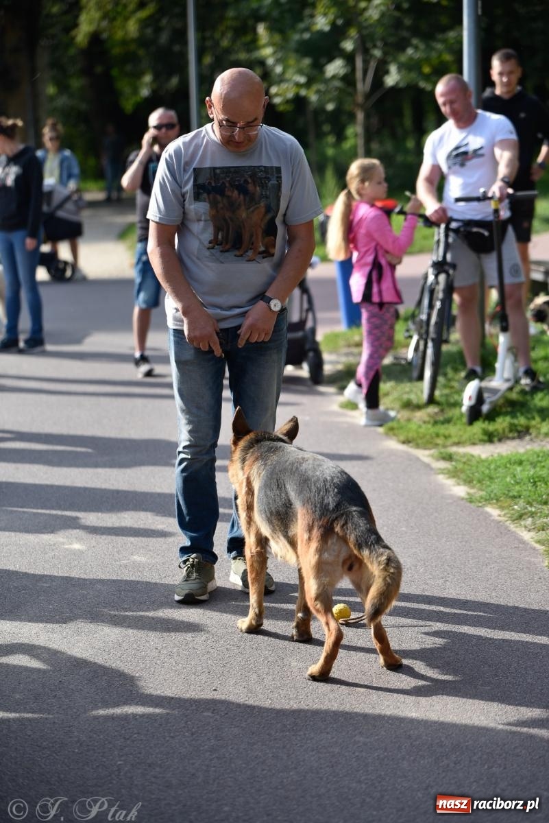 Zdjęcie w galerii na portalu naszraciborz.pl: Pieska plaża w Raciborzu. Miłośnicy czworonogów nad Odrą [FOTO i WIDEO] wiadomości z regionu