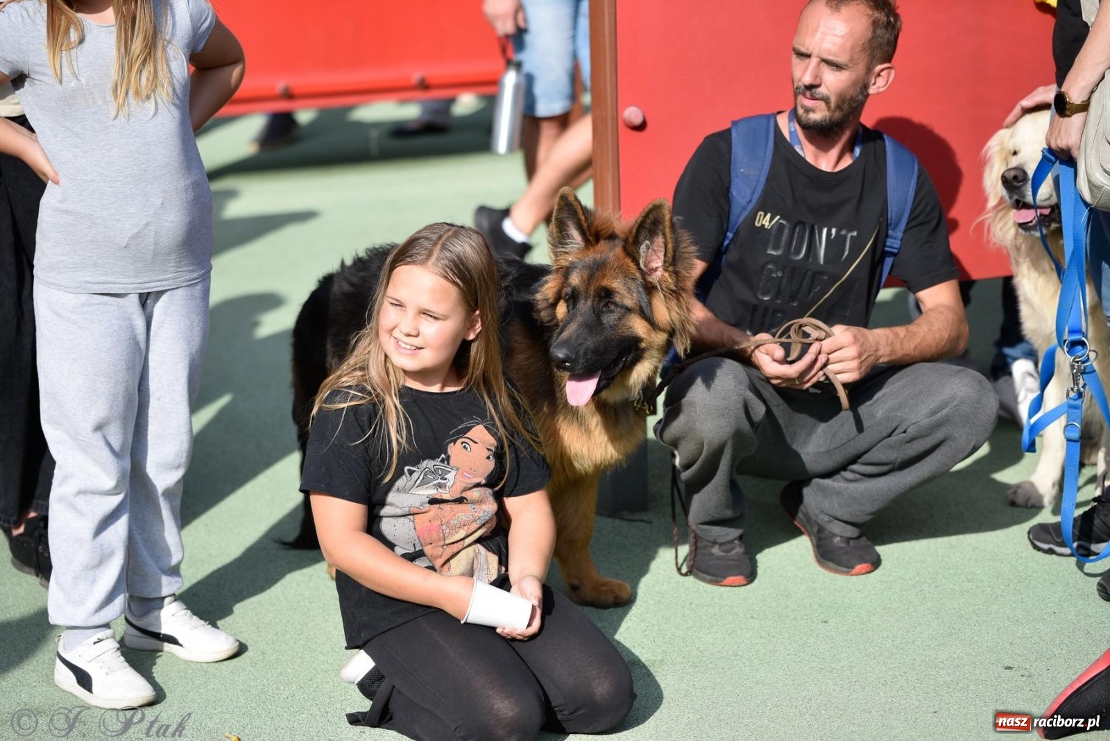 Zdjęcie w galerii na portalu naszraciborz.pl: Pieska plaża w Raciborzu. Miłośnicy czworonogów nad Odrą [FOTO i WIDEO] wiadomości z regionu