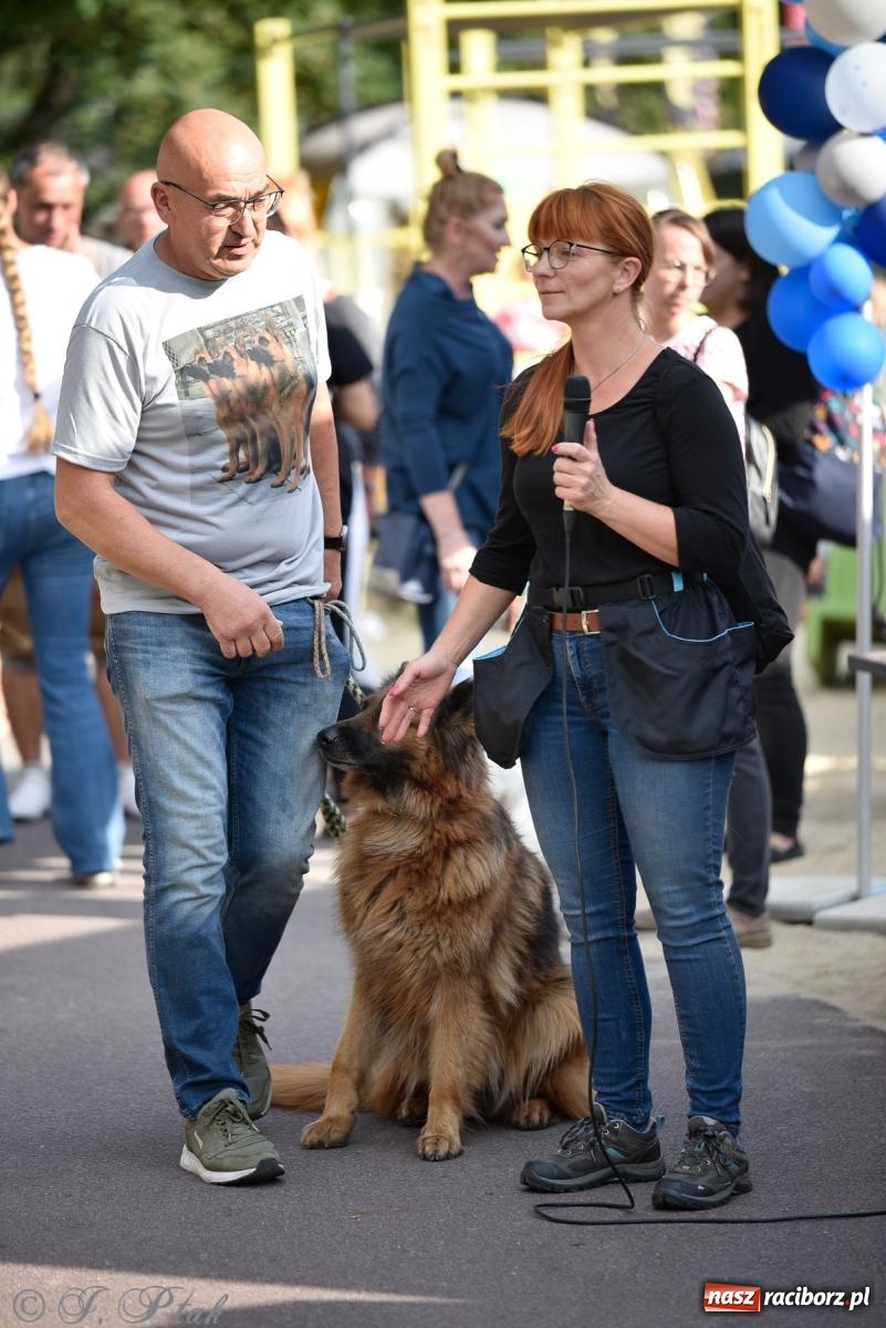 Zdjęcie w galerii na portalu naszraciborz.pl: Pieska plaża w Raciborzu. Miłośnicy czworonogów nad Odrą [FOTO i WIDEO] wiadomości z regionu