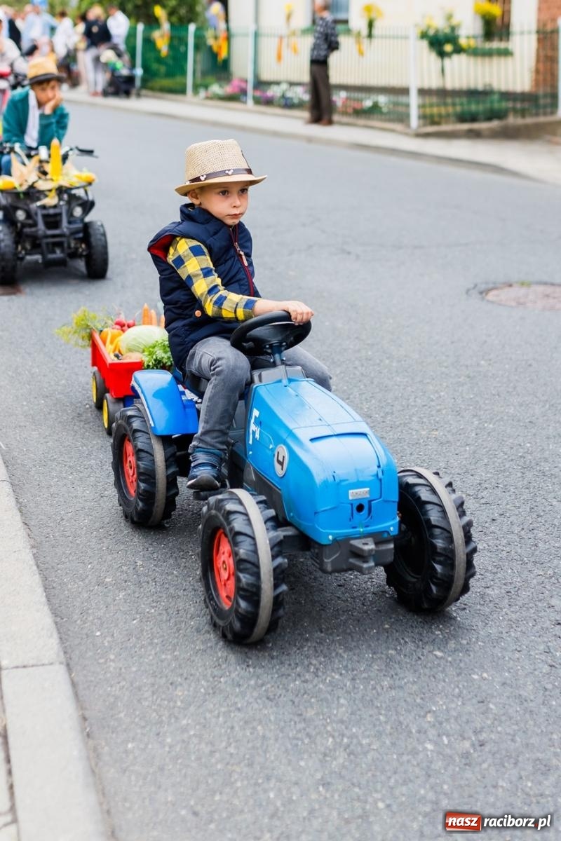 Zdjęcie w galerii na portalu naszraciborz.pl: Dożynki 2022. Studzienna dziękowała za plony [FOTO i WIDEO] wiadomości z regionu