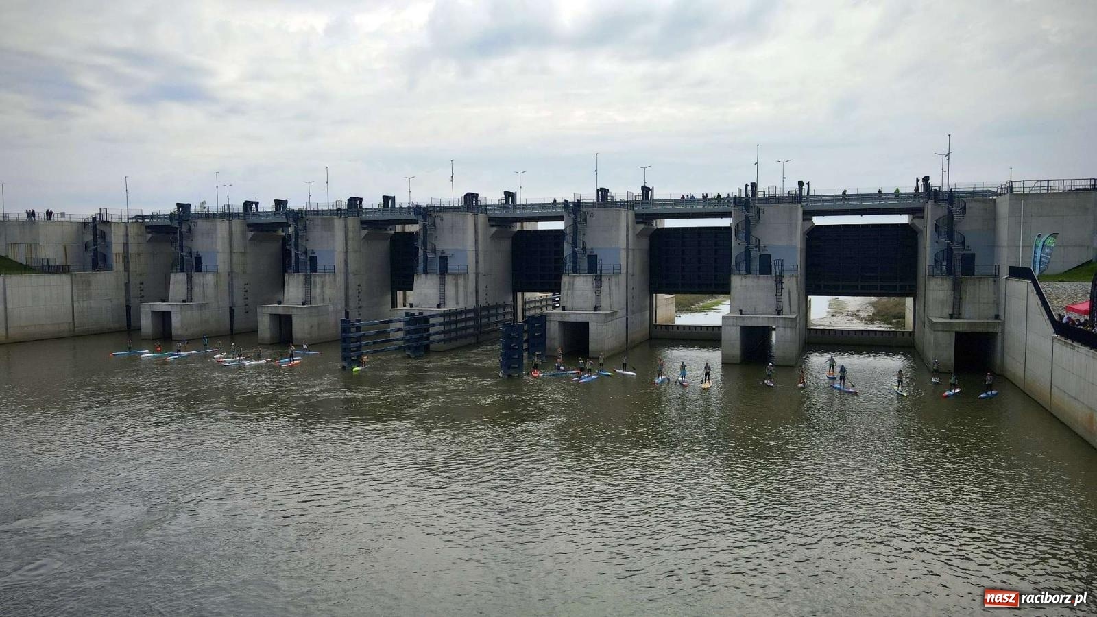 Zdjęcie w galerii na portalu naszraciborz.pl: Regaty pod zaporą czołową zbiornika Racibórz [FOTO i WIDEO] wiadomości z regionu