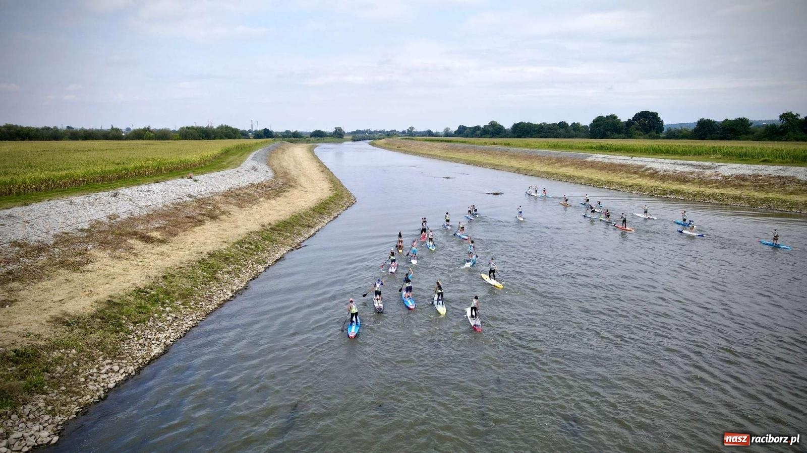 Zdjęcie w galerii na portalu naszraciborz.pl: Regaty pod zaporą czołową zbiornika Racibórz [FOTO i WIDEO] wiadomości z regionu