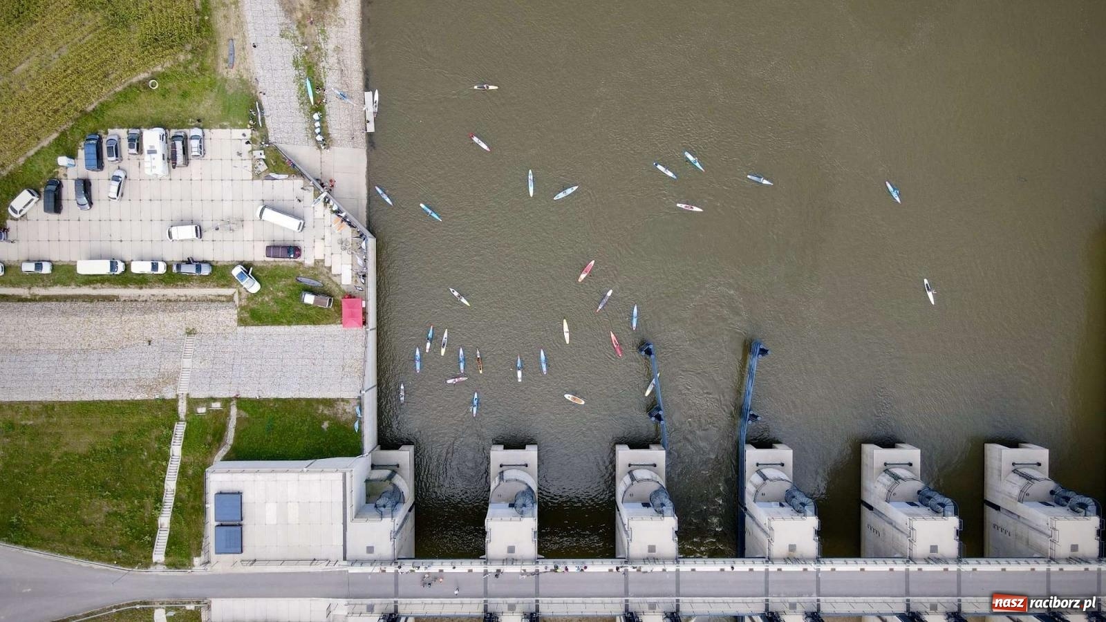 Zdjęcie w galerii na portalu naszraciborz.pl: Regaty pod zaporą czołową zbiornika Racibórz [FOTO i WIDEO] wiadomości z regionu