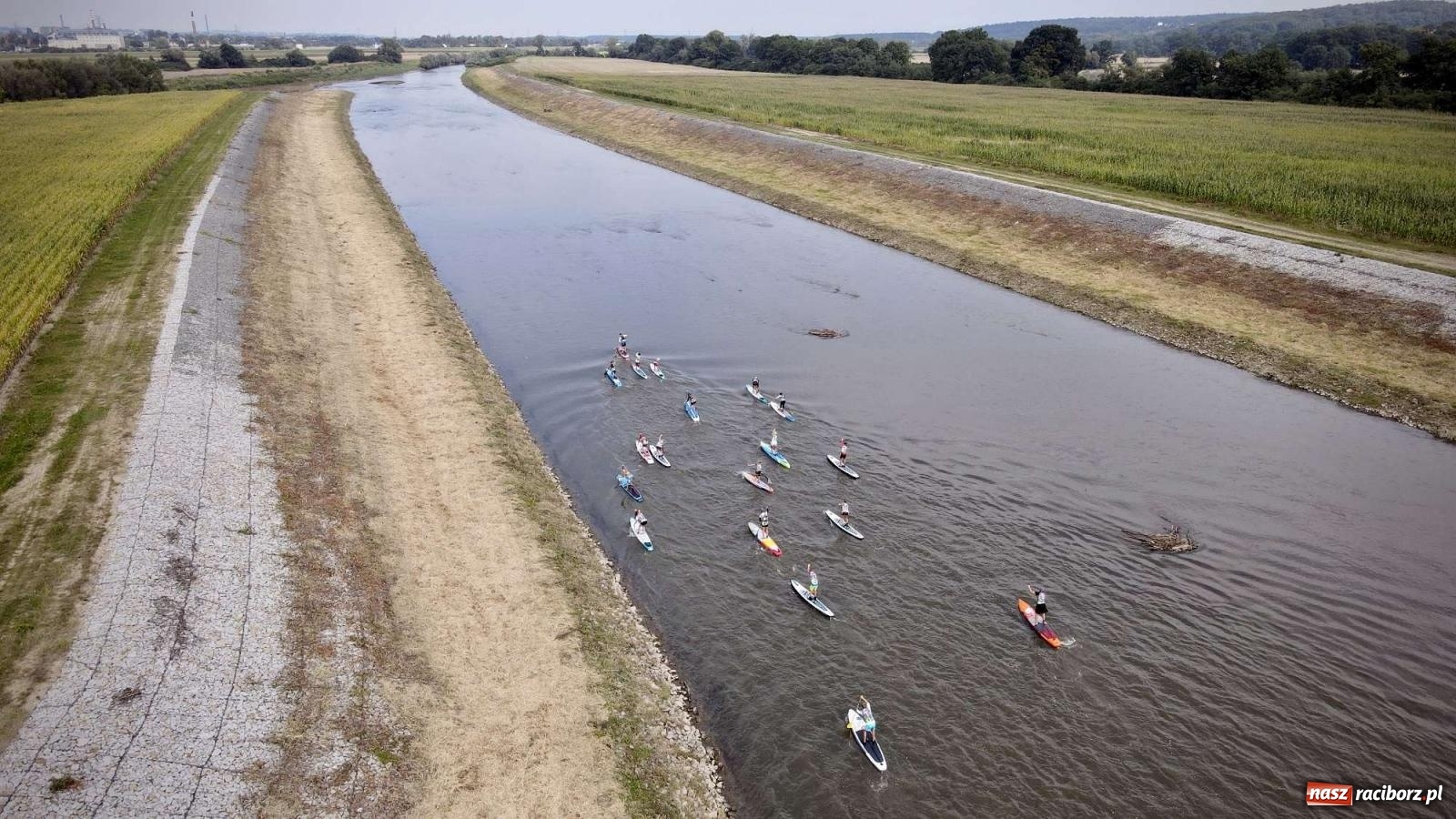 Zdjęcie w galerii na portalu naszraciborz.pl: Regaty pod zaporą czołową zbiornika Racibórz [FOTO i WIDEO] wiadomości z regionu