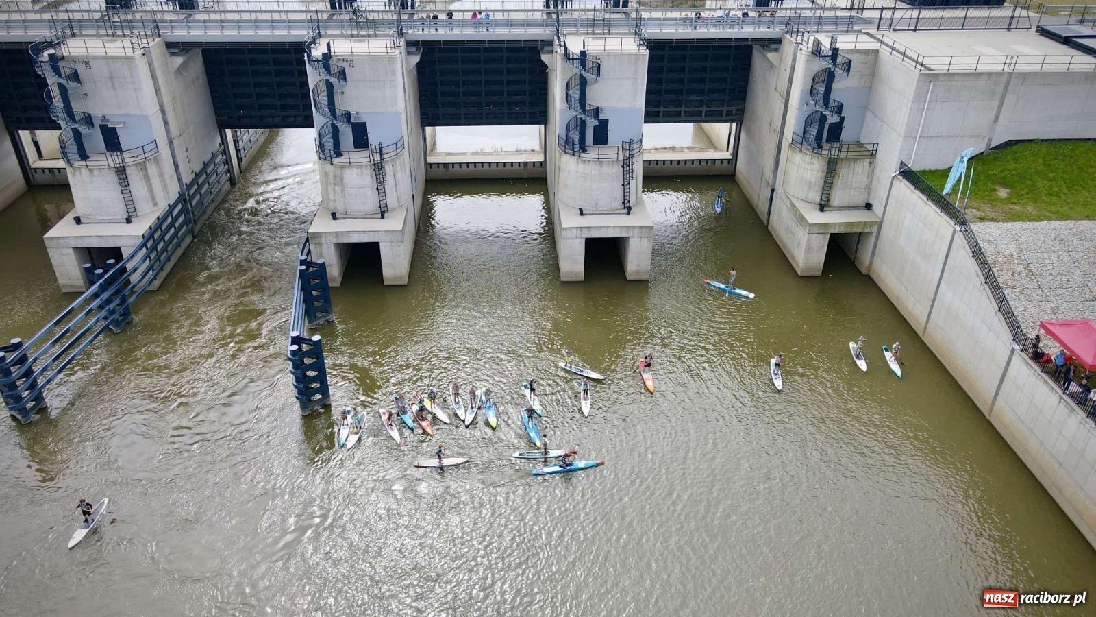 Zdjęcie w galerii na portalu naszraciborz.pl: Regaty pod zaporą czołową zbiornika Racibórz [FOTO i WIDEO] wiadomości z regionu