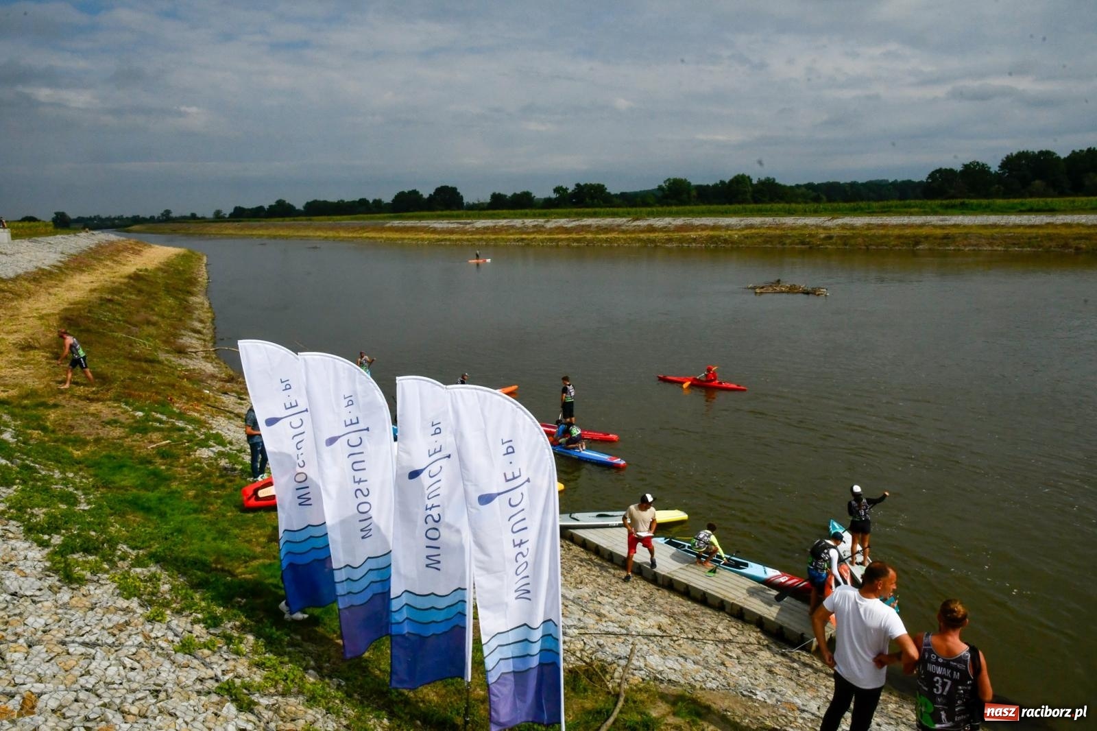 Zdjęcie w galerii na portalu naszraciborz.pl: Regaty pod zaporą czołową zbiornika Racibórz [FOTO i WIDEO] wiadomości z regionu