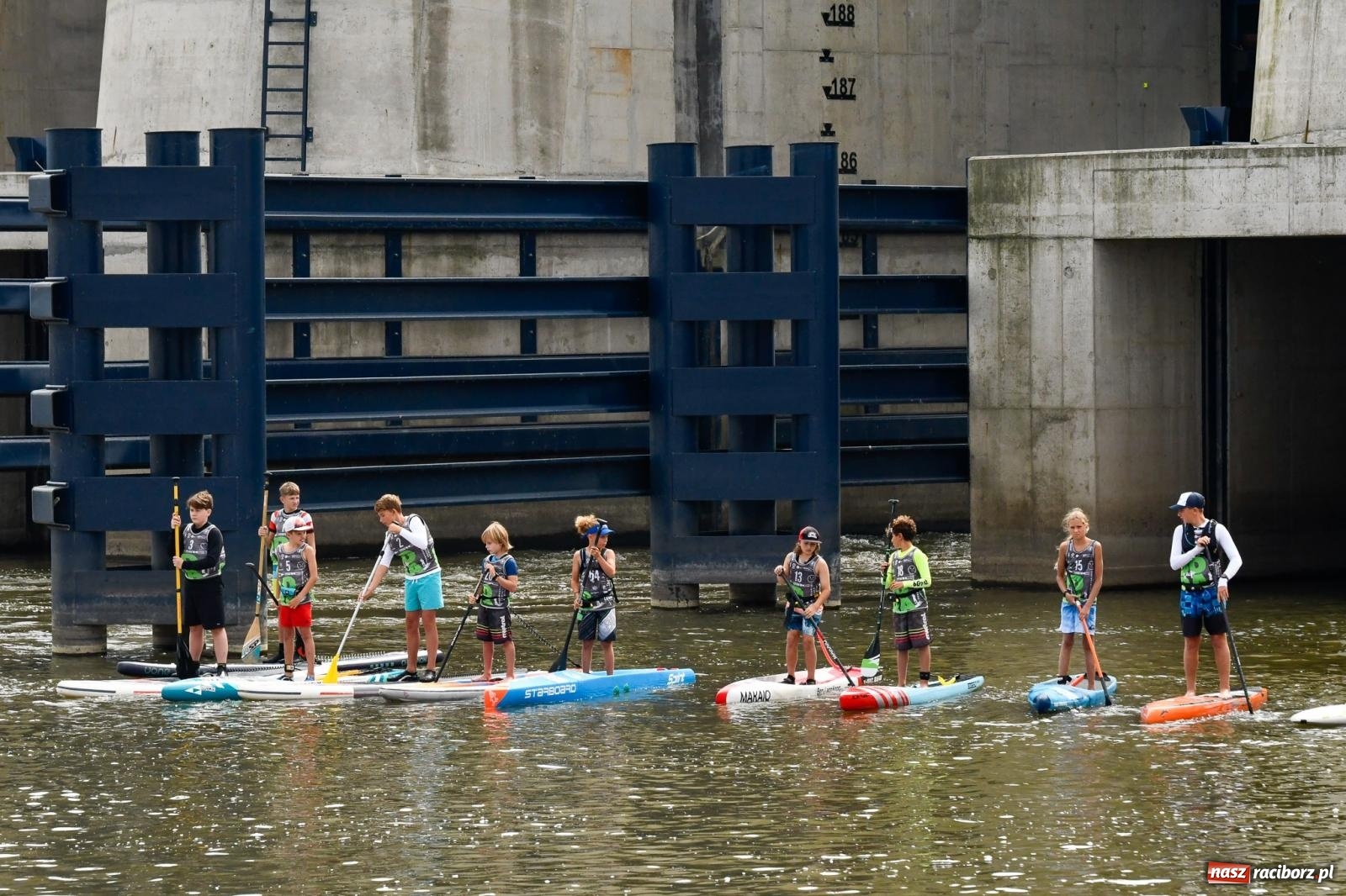 Zdjęcie w galerii na portalu naszraciborz.pl: Regaty pod zaporą czołową zbiornika Racibórz [FOTO i WIDEO] wiadomości z regionu