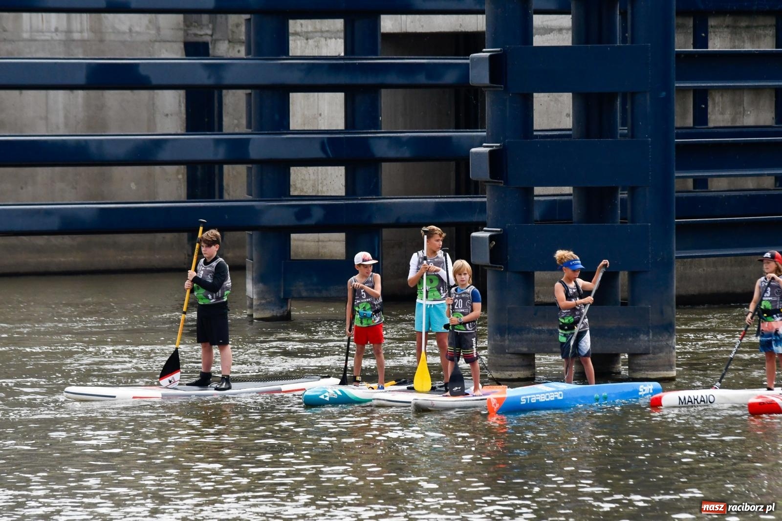 Zdjęcie w galerii na portalu naszraciborz.pl: Regaty pod zaporą czołową zbiornika Racibórz [FOTO i WIDEO] wiadomości z regionu