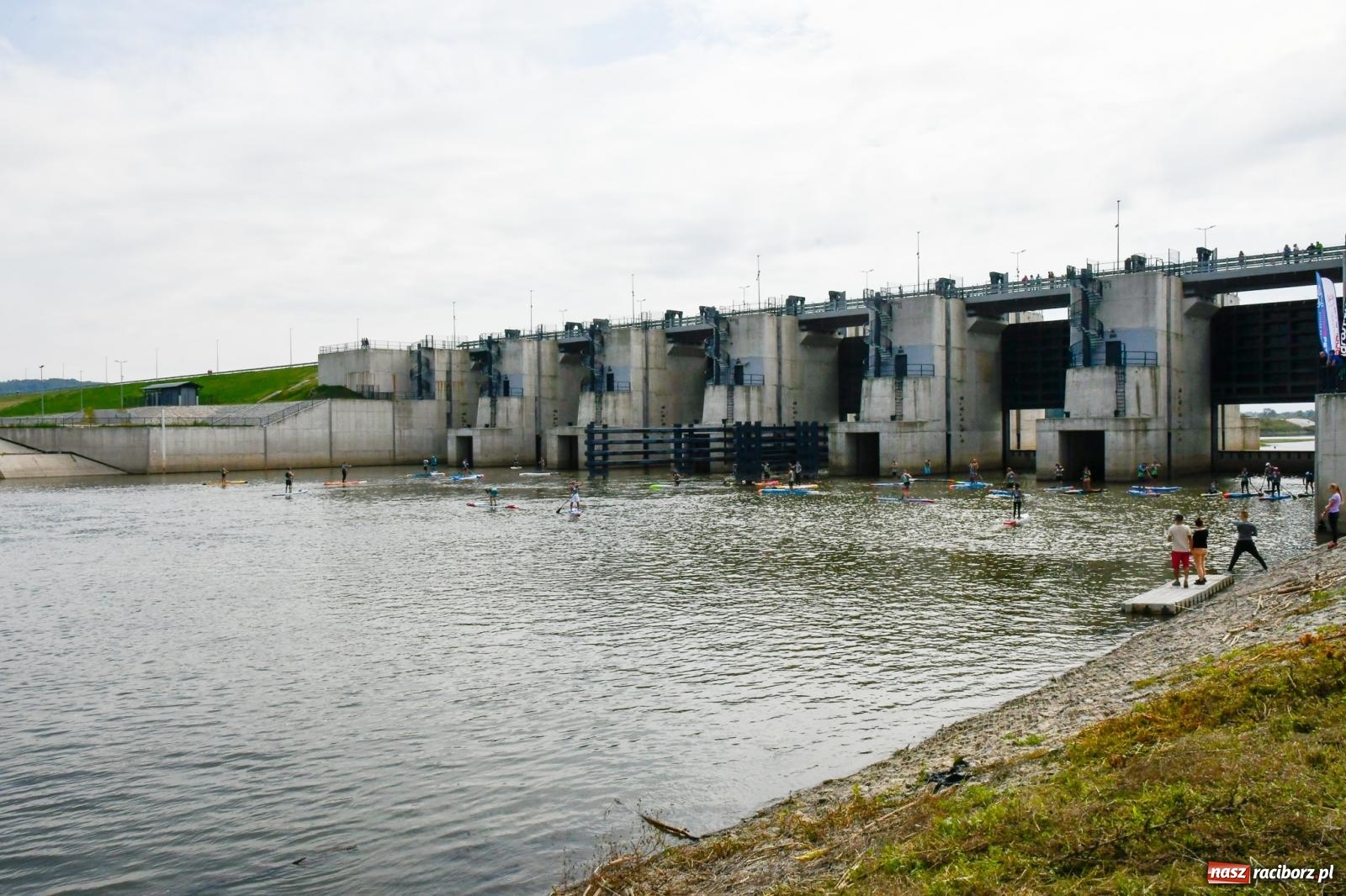 Zdjęcie w galerii na portalu naszraciborz.pl: Regaty pod zaporą czołową zbiornika Racibórz [FOTO i WIDEO] wiadomości z regionu