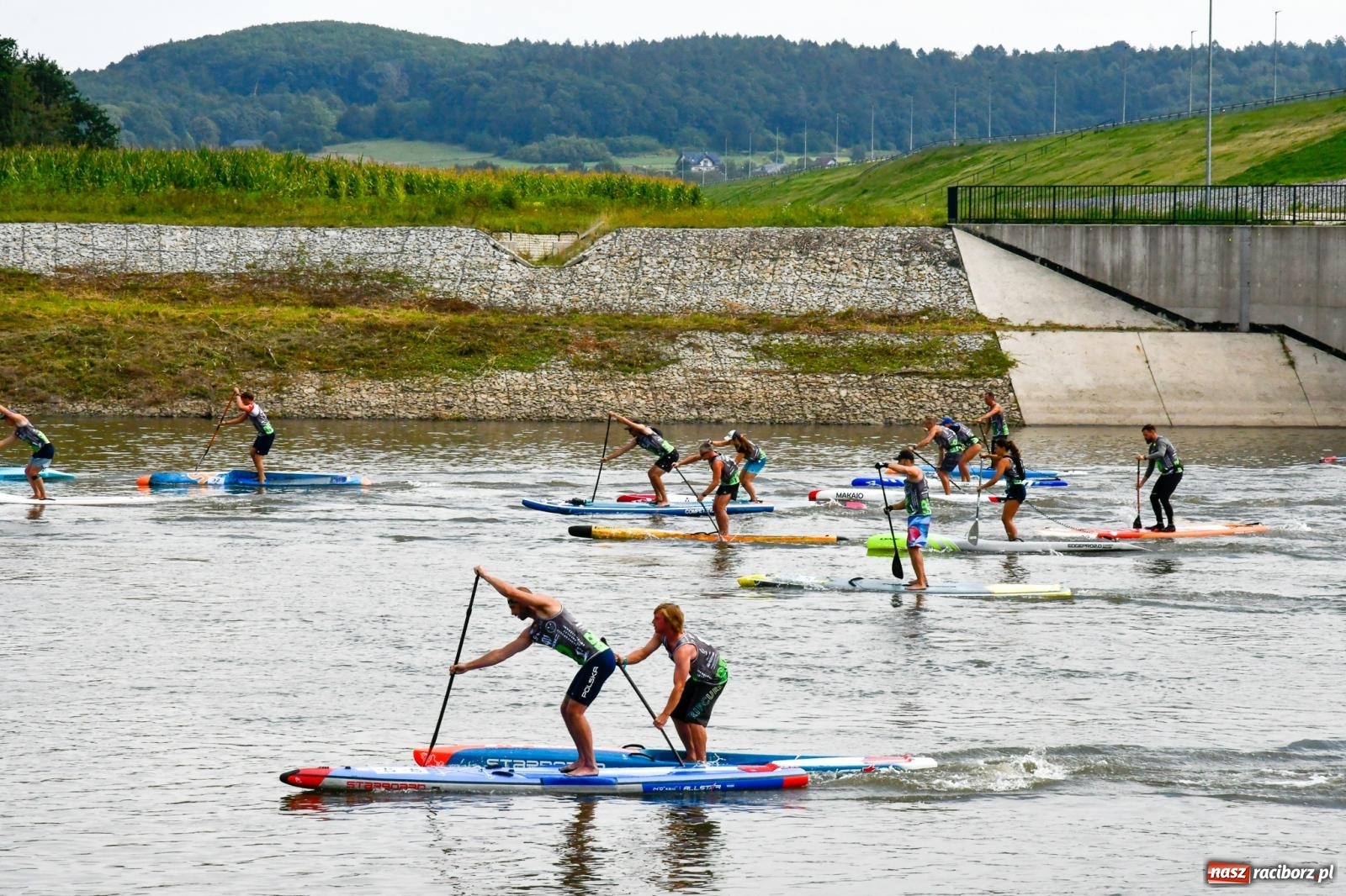 Zdjęcie w galerii na portalu naszraciborz.pl: Regaty pod zaporą czołową zbiornika Racibórz [FOTO i WIDEO] wiadomości z regionu
