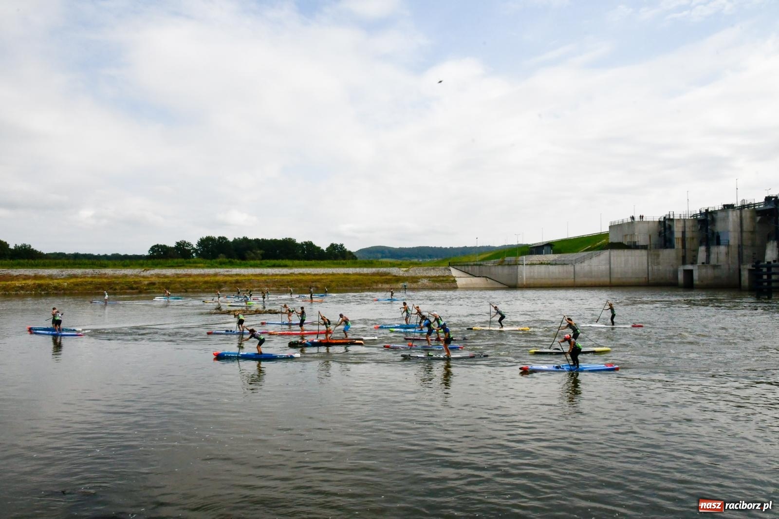 Zdjęcie w galerii na portalu naszraciborz.pl: Regaty pod zaporą czołową zbiornika Racibórz [FOTO i WIDEO] wiadomości z regionu