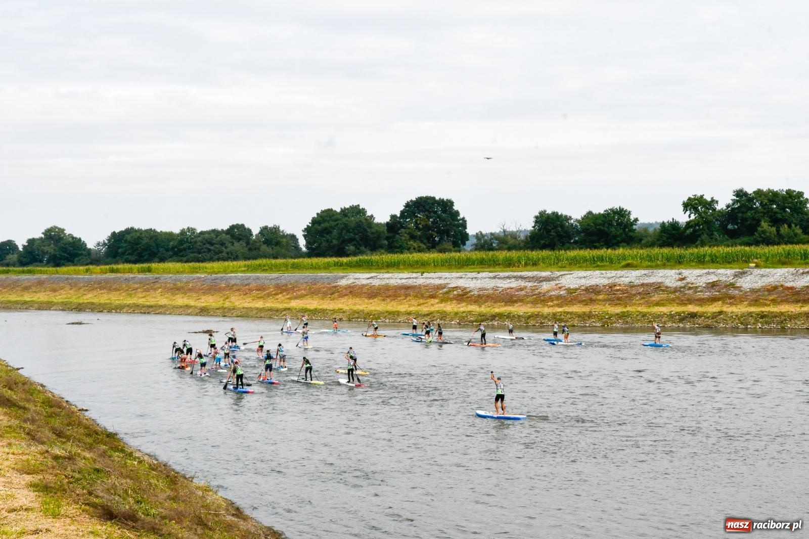 Zdjęcie w galerii na portalu naszraciborz.pl: Regaty pod zaporą czołową zbiornika Racibórz [FOTO i WIDEO] wiadomości z regionu
