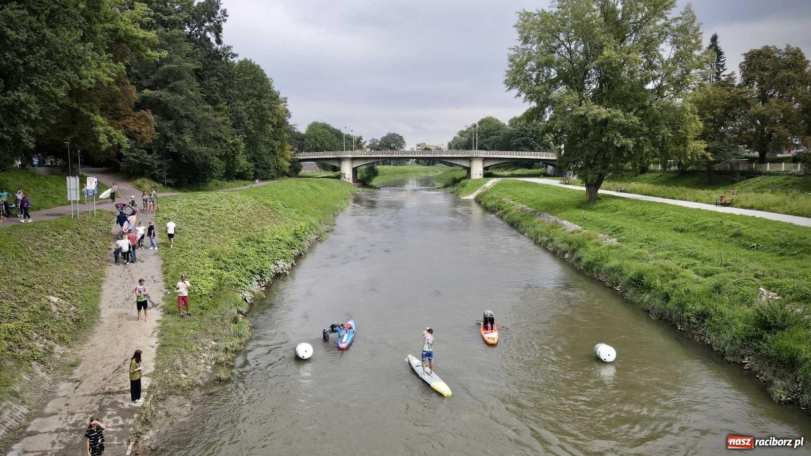 Zdjęcie w galerii na portalu naszraciborz.pl: Regaty pod zaporą czołową zbiornika Racibórz [FOTO i WIDEO] wiadomości z regionu