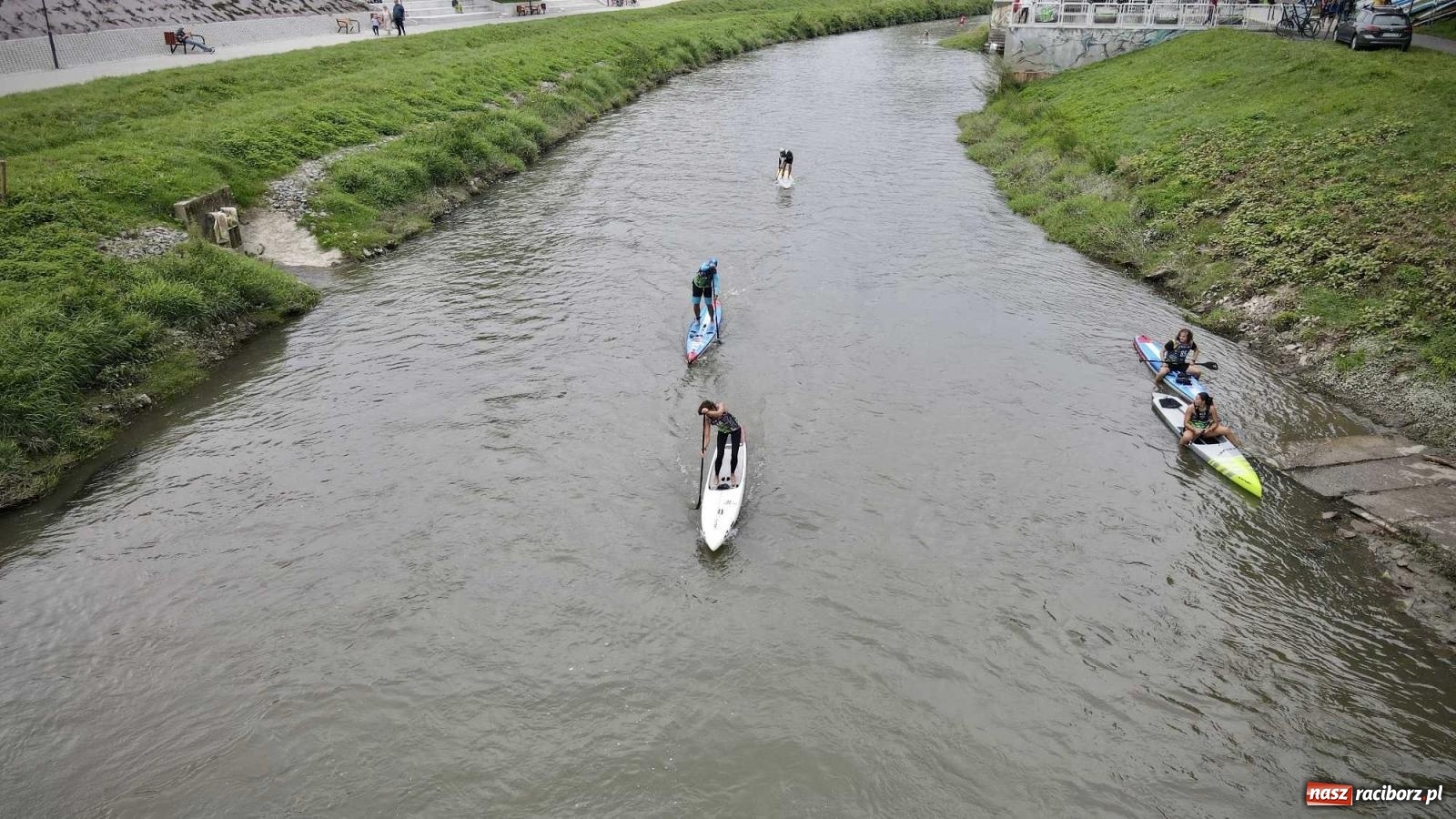Zdjęcie w galerii na portalu naszraciborz.pl: Regaty pod zaporą czołową zbiornika Racibórz [FOTO i WIDEO] wiadomości z regionu
