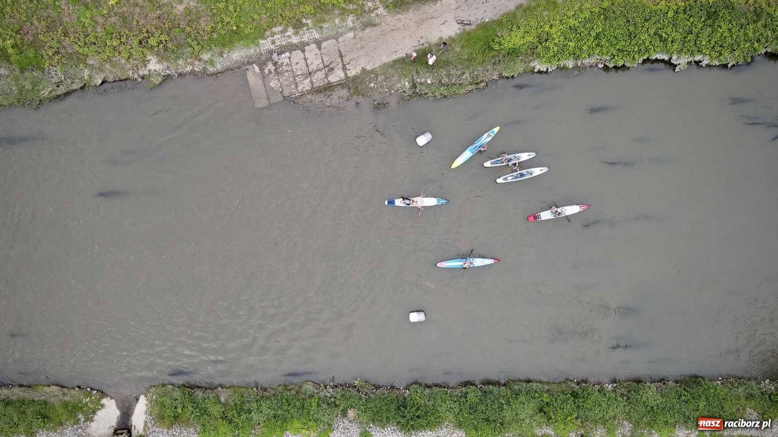 Zdjęcie w galerii na portalu naszraciborz.pl: Regaty pod zaporą czołową zbiornika Racibórz [FOTO i WIDEO] wiadomości z regionu