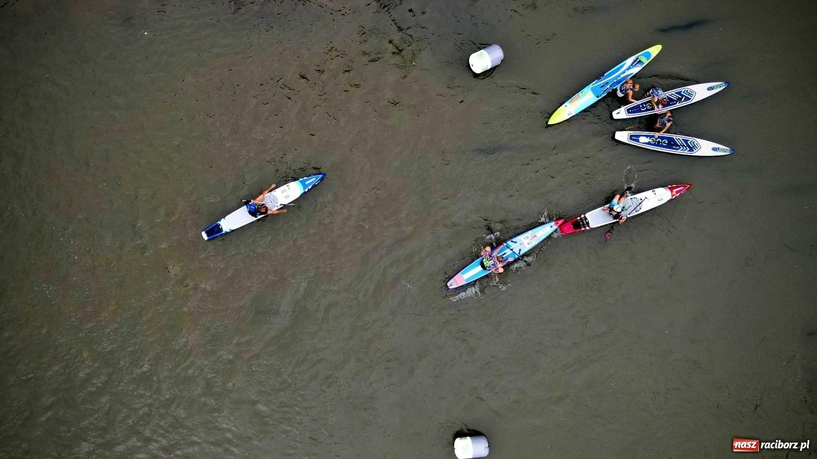Zdjęcie w galerii na portalu naszraciborz.pl: Regaty pod zaporą czołową zbiornika Racibórz [FOTO i WIDEO] wiadomości z regionu