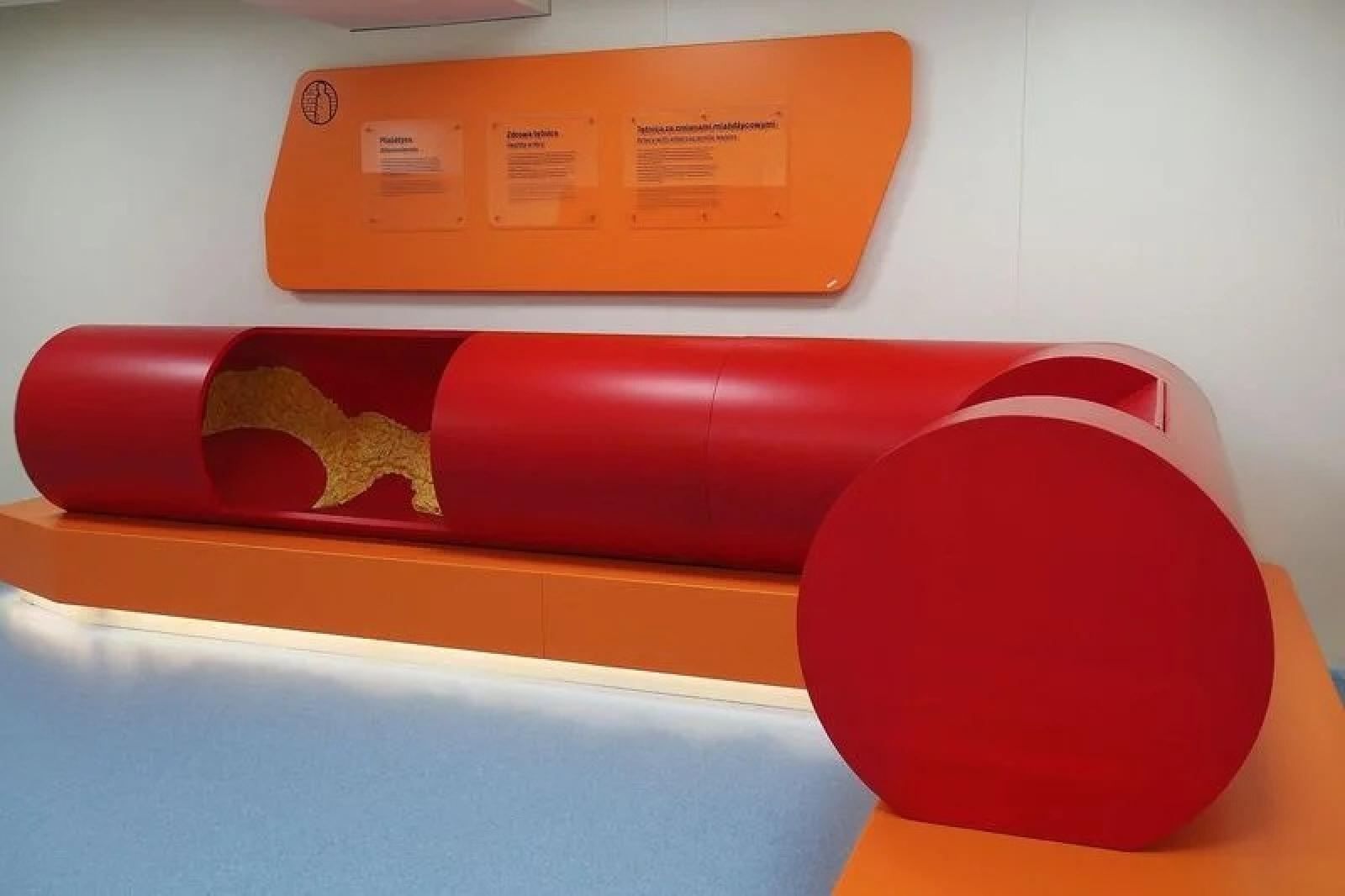 Zdjęcie w galerii na portalu naszraciborz.pl: Edukatorium Juliusz pozwoli zajrzeć w głąb ludzkiego ciała wiadomości z regionu