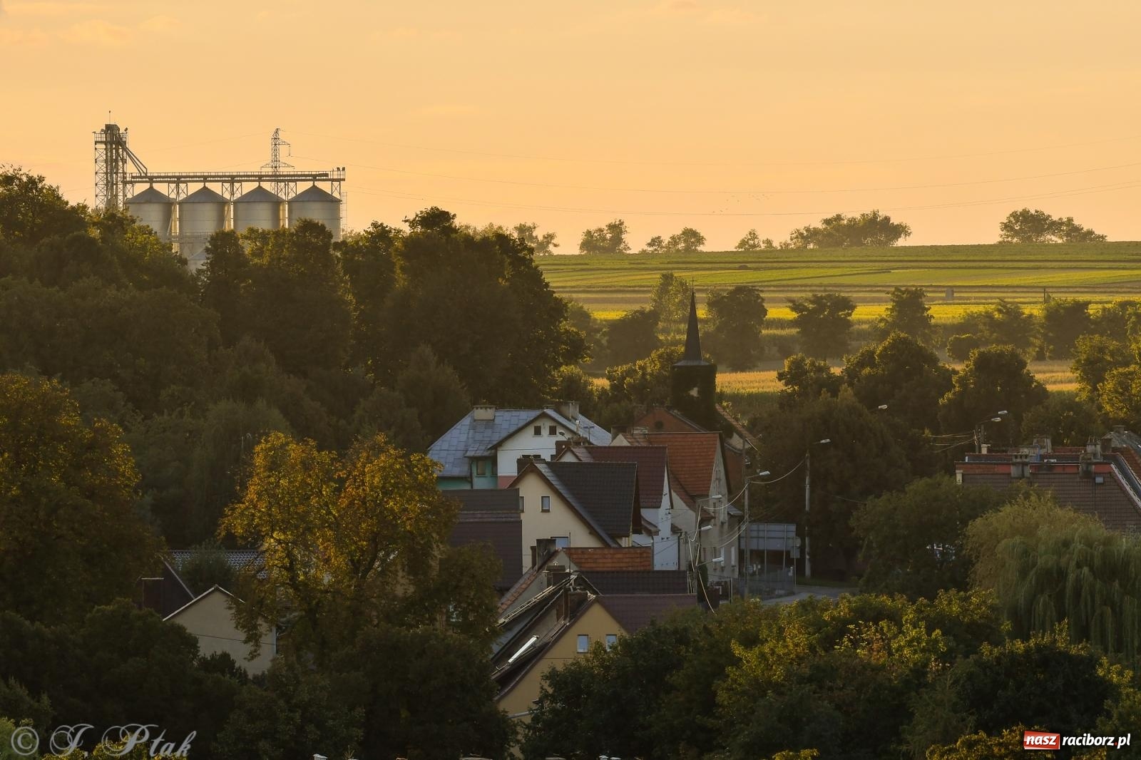 Zdjęcie w galerii na portalu naszraciborz.pl: Tak wygląda Racibórz w złotej godzinie wiadomości z regionu