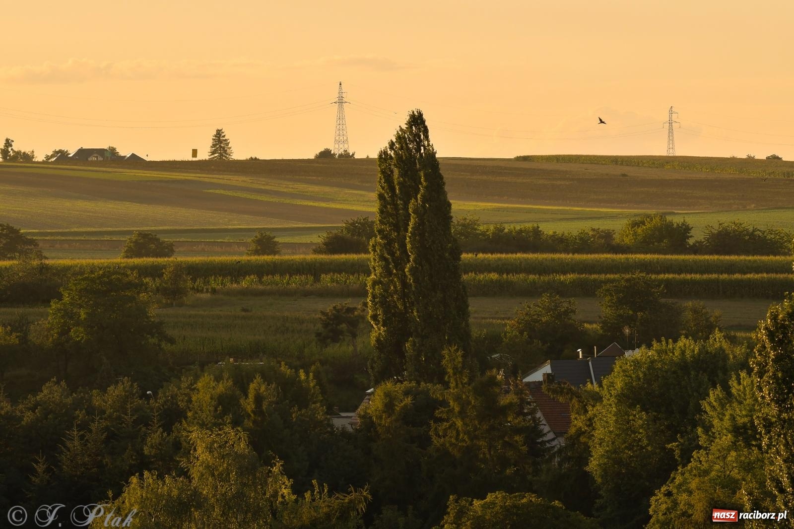 Zdjęcie w galerii na portalu naszraciborz.pl: Tak wygląda Racibórz w złotej godzinie wiadomości z regionu