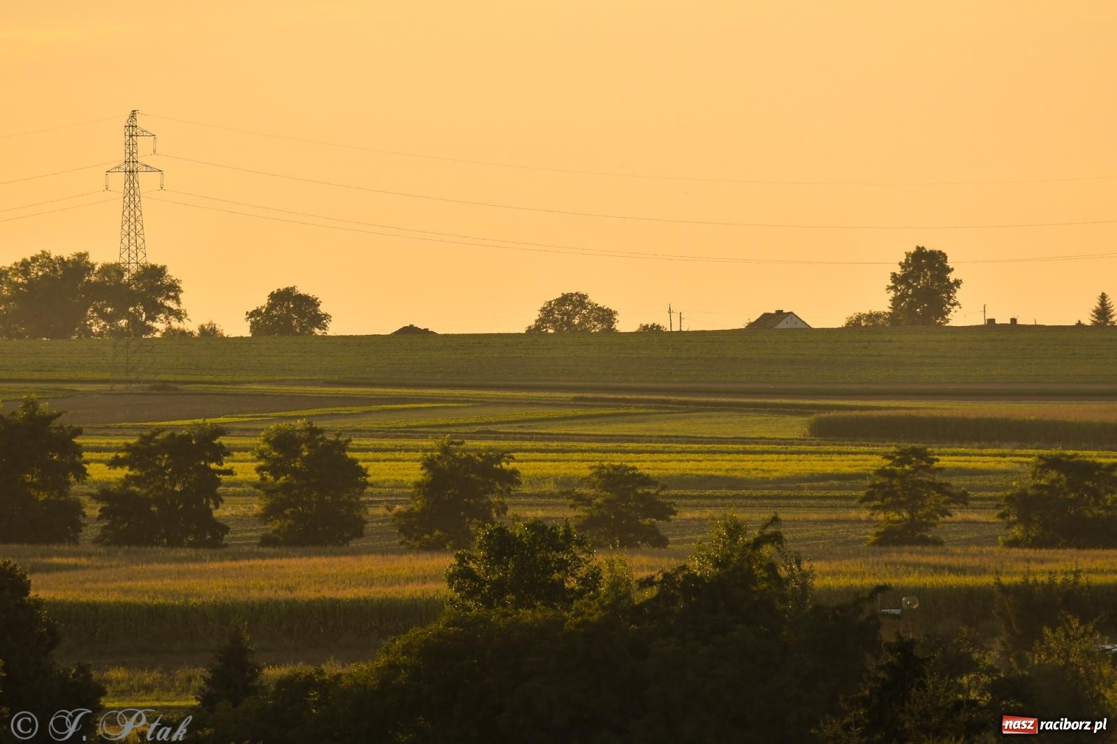 Zdjęcie w galerii na portalu naszraciborz.pl: Tak wygląda Racibórz w złotej godzinie wiadomości z regionu