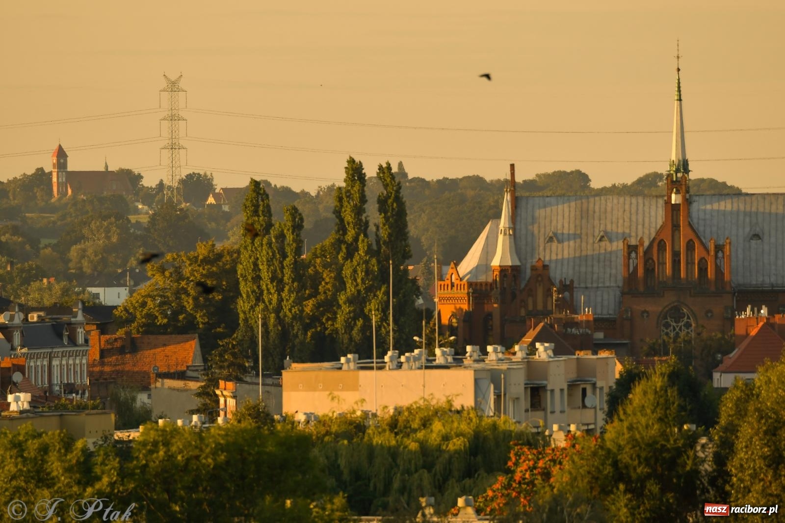 Zdjęcie w galerii na portalu naszraciborz.pl: Tak wygląda Racibórz w złotej godzinie wiadomości z regionu