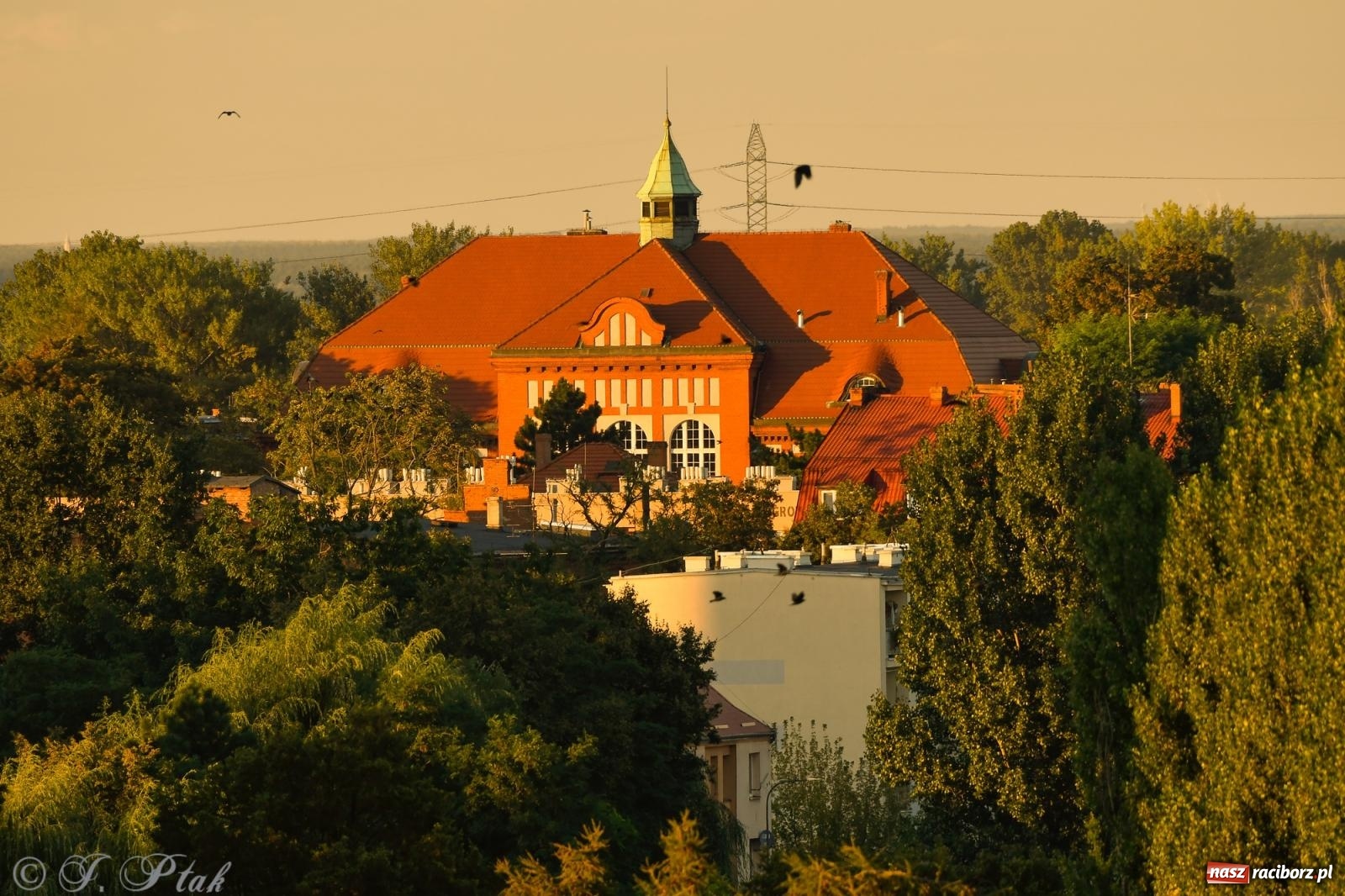 Zdjęcie w galerii na portalu naszraciborz.pl: Tak wygląda Racibórz w złotej godzinie wiadomości z regionu