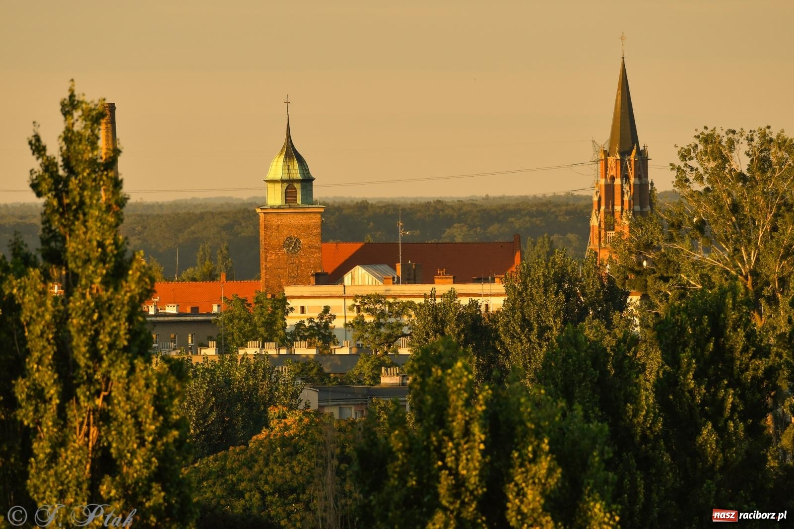 Zdjęcie w galerii na portalu naszraciborz.pl: Tak wygląda Racibórz w złotej godzinie wiadomości z regionu