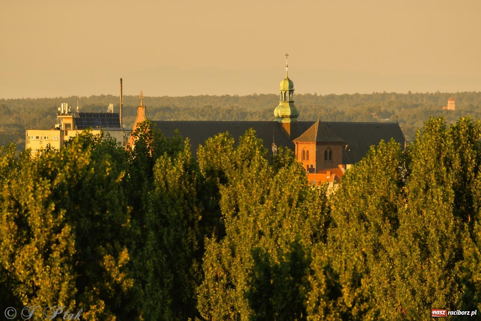 Zdjęcie w galerii na portalu naszraciborz.pl: Tak wygląda Racibórz w złotej godzinie wiadomości z regionu