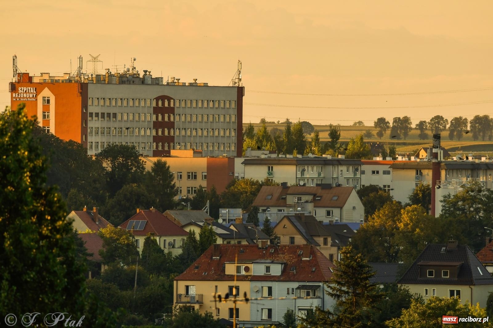 Zdjęcie w galerii na portalu naszraciborz.pl: Tak wygląda Racibórz w złotej godzinie wiadomości z regionu