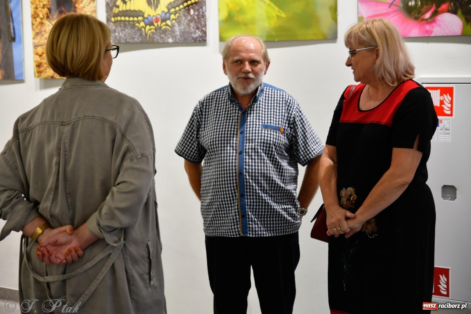 Zdjęcie w galerii na portalu naszraciborz.pl: W świecie owadów - wernisaż fotografii Marka Furmanowicza wiadomości z regionu