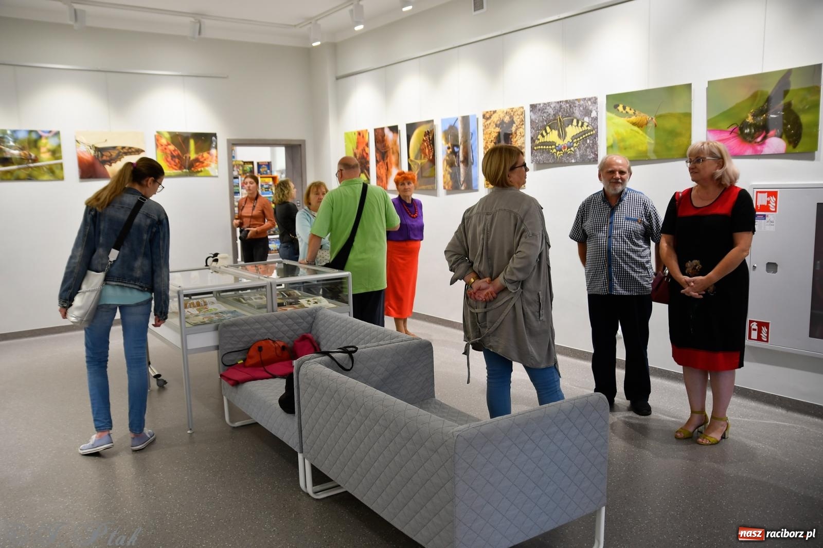Zdjęcie w galerii na portalu naszraciborz.pl: W świecie owadów - wernisaż fotografii Marka Furmanowicza wiadomości z regionu