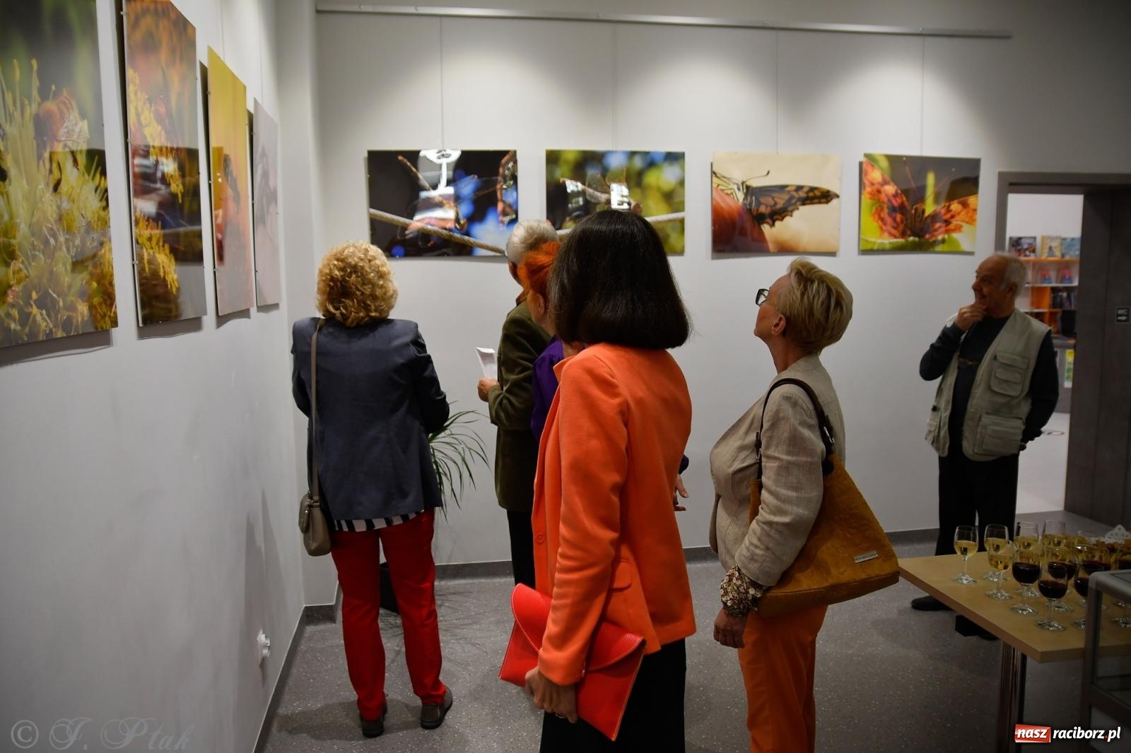Zdjęcie w galerii na portalu naszraciborz.pl: W świecie owadów - wernisaż fotografii Marka Furmanowicza wiadomości z regionu