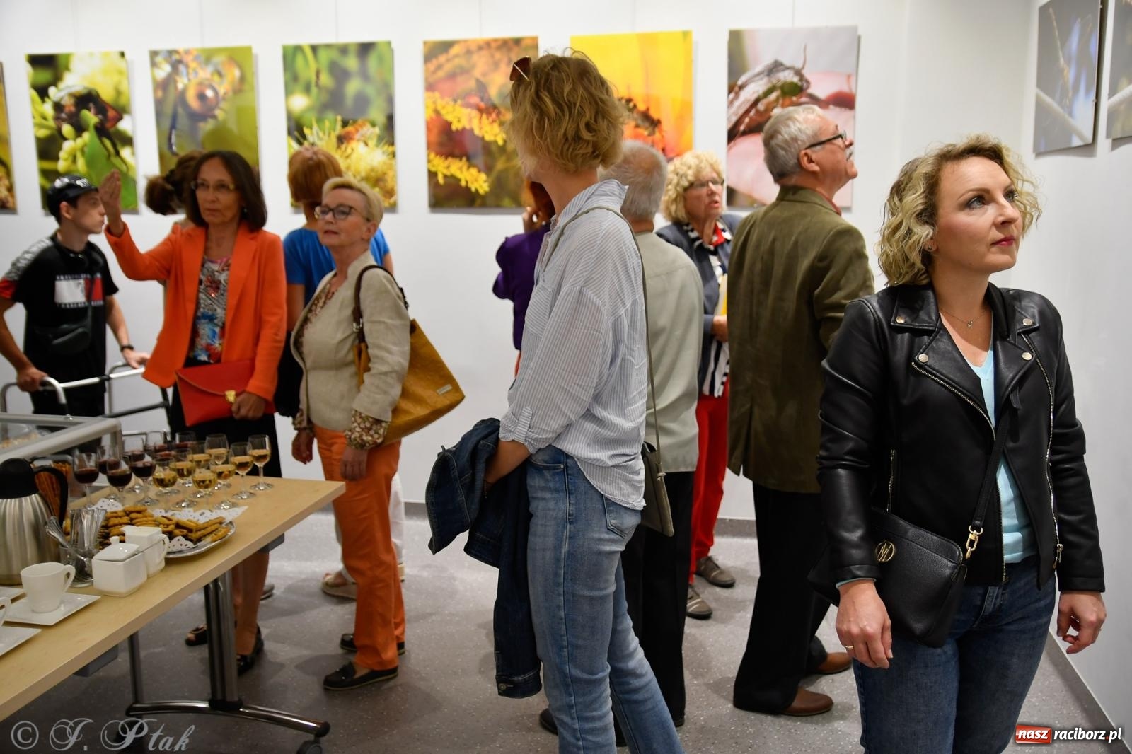 Zdjęcie w galerii na portalu naszraciborz.pl: W świecie owadów - wernisaż fotografii Marka Furmanowicza wiadomości z regionu