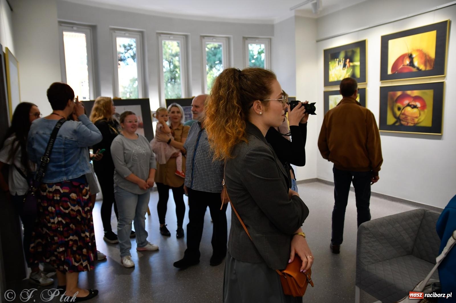 Zdjęcie w galerii na portalu naszraciborz.pl: W świecie owadów - wernisaż fotografii Marka Furmanowicza wiadomości z regionu