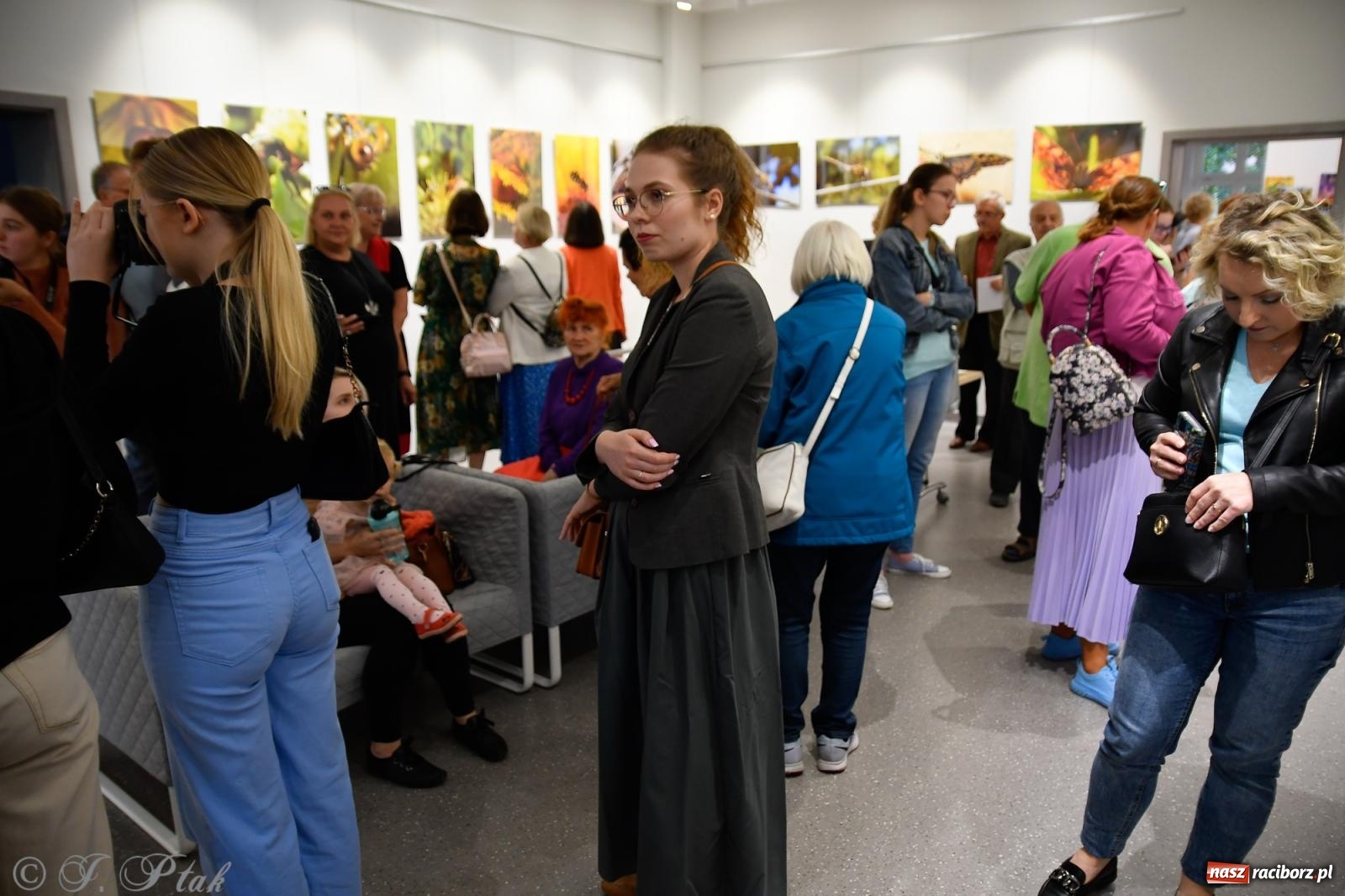 Zdjęcie w galerii na portalu naszraciborz.pl: W świecie owadów - wernisaż fotografii Marka Furmanowicza wiadomości z regionu