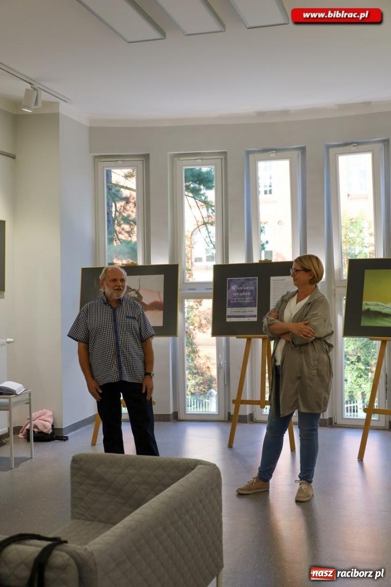 Zdjęcie w galerii na portalu naszraciborz.pl: W świecie owadów - wernisaż fotografii Marka Furmanowicza wiadomości z regionu