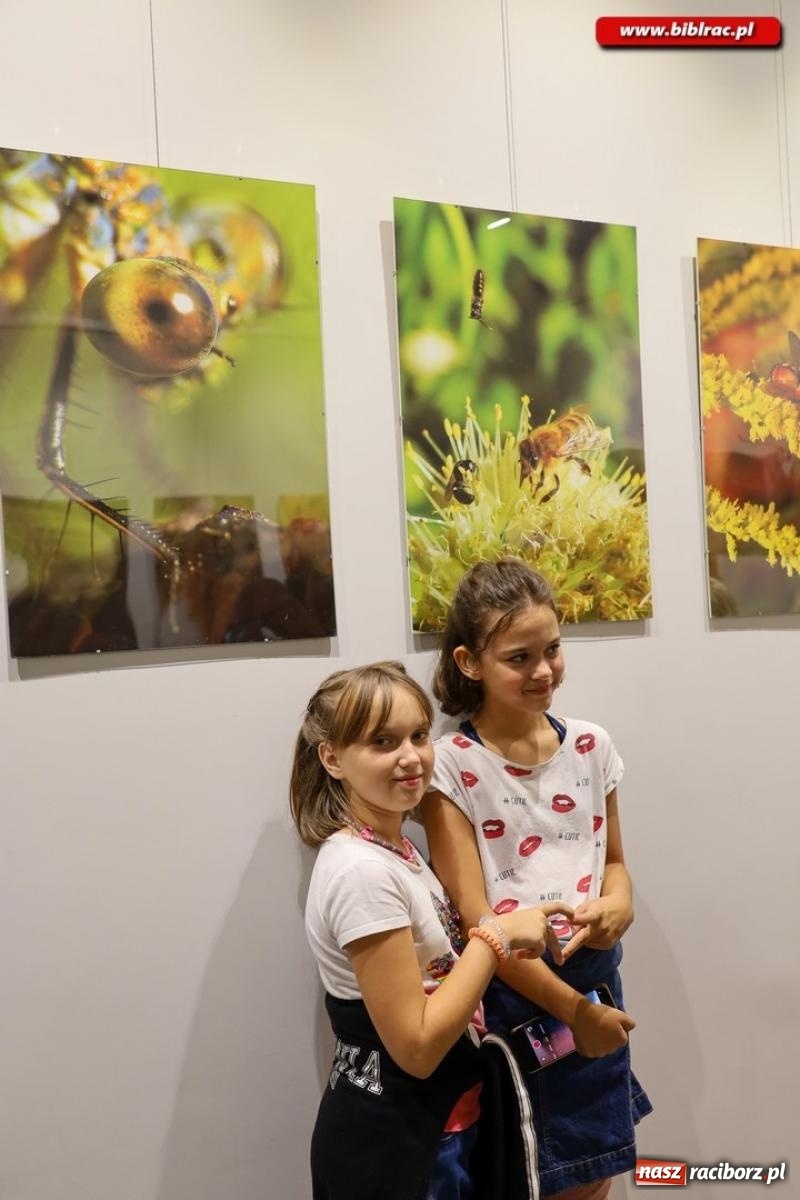 Zdjęcie w galerii na portalu naszraciborz.pl: W świecie owadów - wernisaż fotografii Marka Furmanowicza wiadomości z regionu