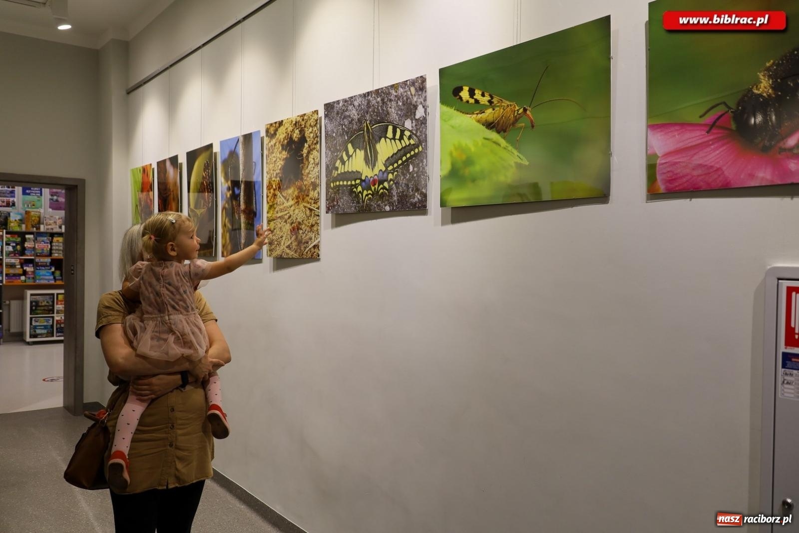 Zdjęcie w galerii na portalu naszraciborz.pl: W świecie owadów - wernisaż fotografii Marka Furmanowicza wiadomości z regionu