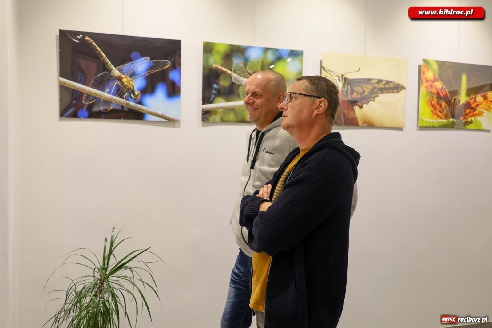 Zdjęcie w galerii na portalu naszraciborz.pl: W świecie owadów - wernisaż fotografii Marka Furmanowicza wiadomości z regionu