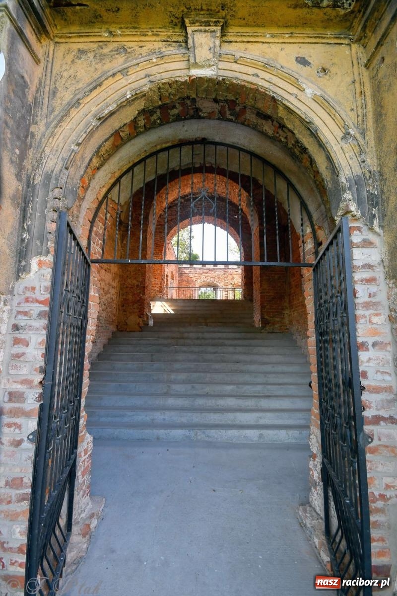 Zdjęcie w galerii na portalu naszraciborz.pl: Zmiana godzin otwarcia ruin tworkowskiego zamku wiadomości z regionu