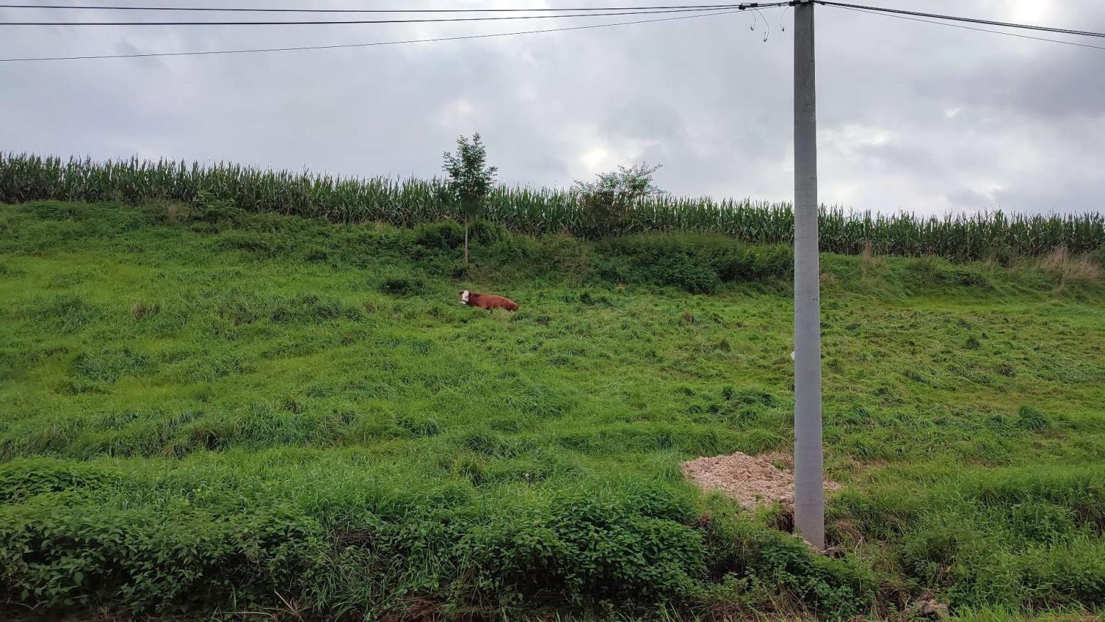 Zdjęcie w galerii na portalu naszraciborz.pl: Spływ do Sławikowa na finał Wakacji w powiecie [FOTO] wiadomości z regionu