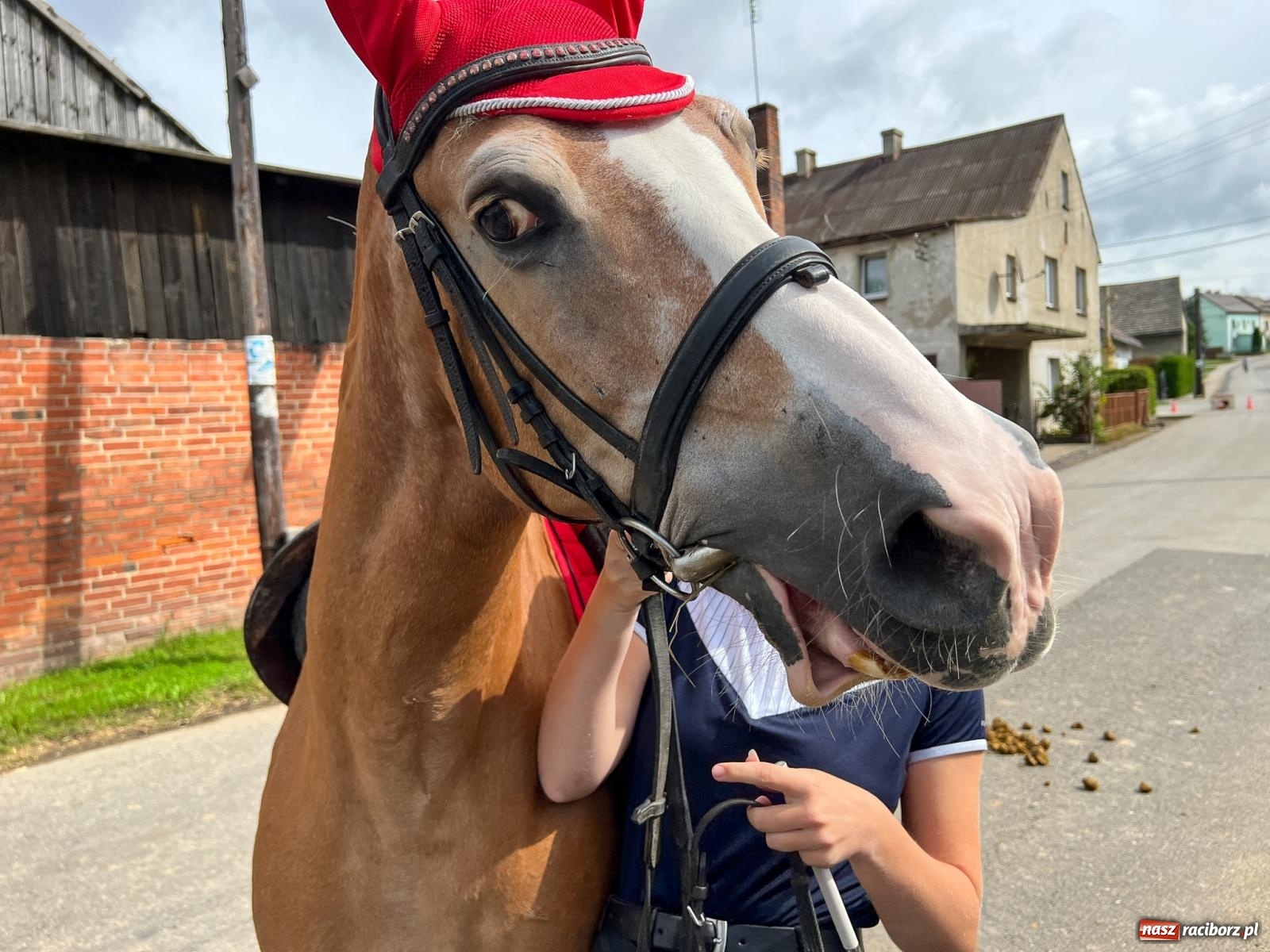Zdjęcie w galerii na portalu naszraciborz.pl: II Rajtowanie szlakiem kurierów w Gamowie [FOTO i WIDEO] wiadomości z regionu