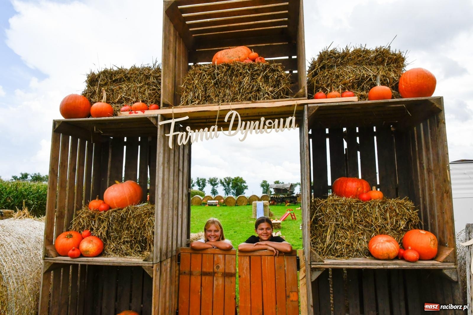 Zdjęcie w galerii na portalu naszraciborz.pl: Dożynki z pianką. Żerdziny w stadninie dziękują za plony wiadomości z regionu