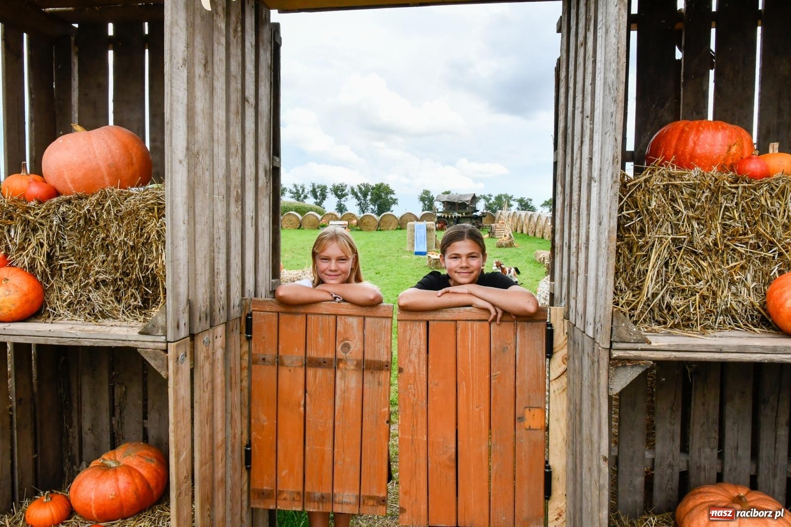 Zdjęcie w galerii na portalu naszraciborz.pl: Dożynki z pianką. Żerdziny w stadninie dziękują za plony wiadomości z regionu