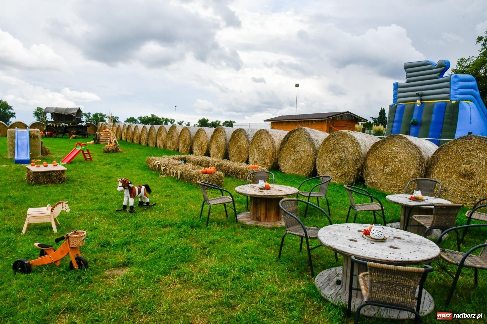 Zdjęcie w galerii na portalu naszraciborz.pl: Dożynki z pianką. Żerdziny w stadninie dziękują za plony wiadomości z regionu