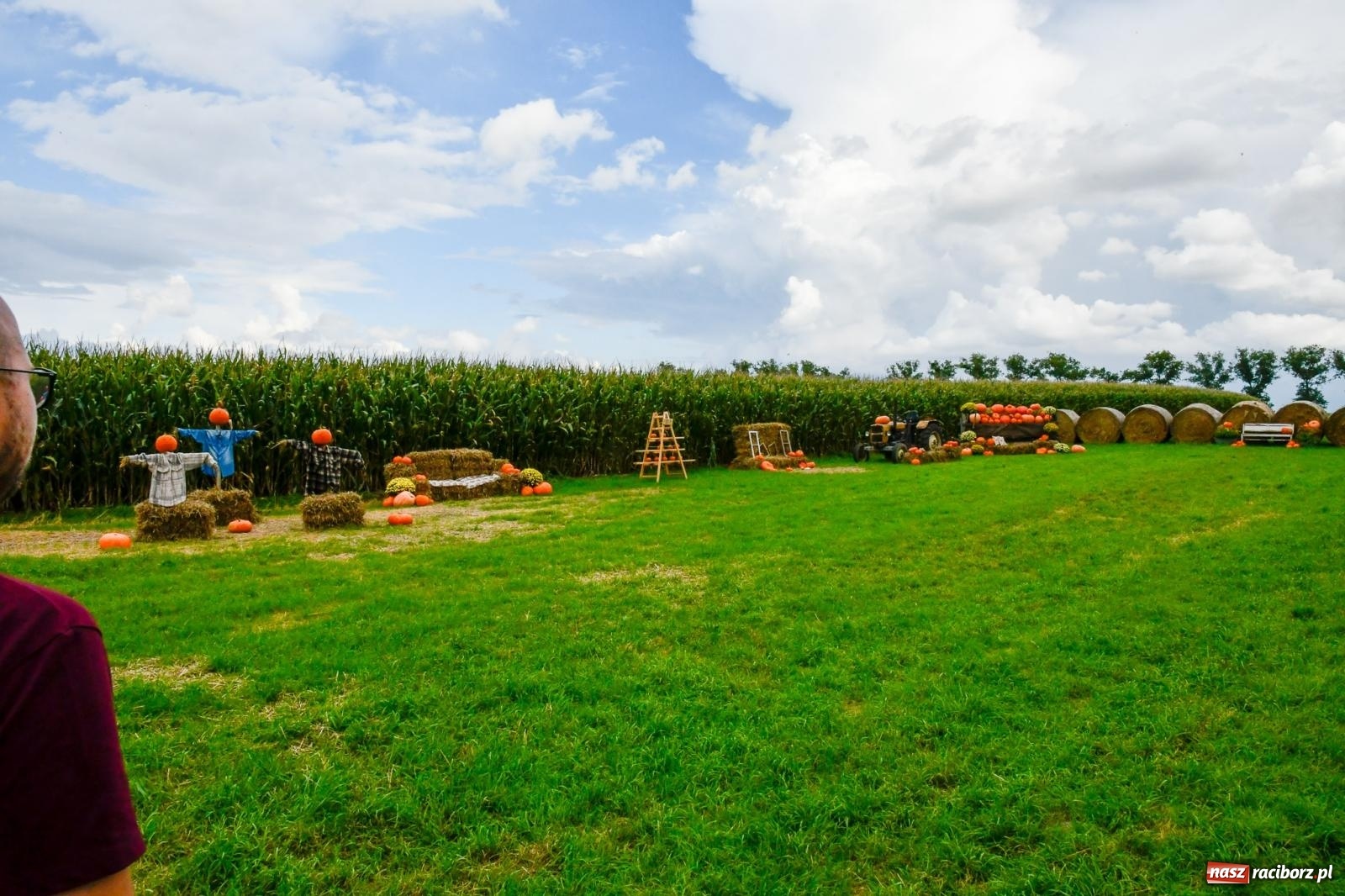 Zdjęcie w galerii na portalu naszraciborz.pl: Dożynki z pianką. Żerdziny w stadninie dziękują za plony wiadomości z regionu
