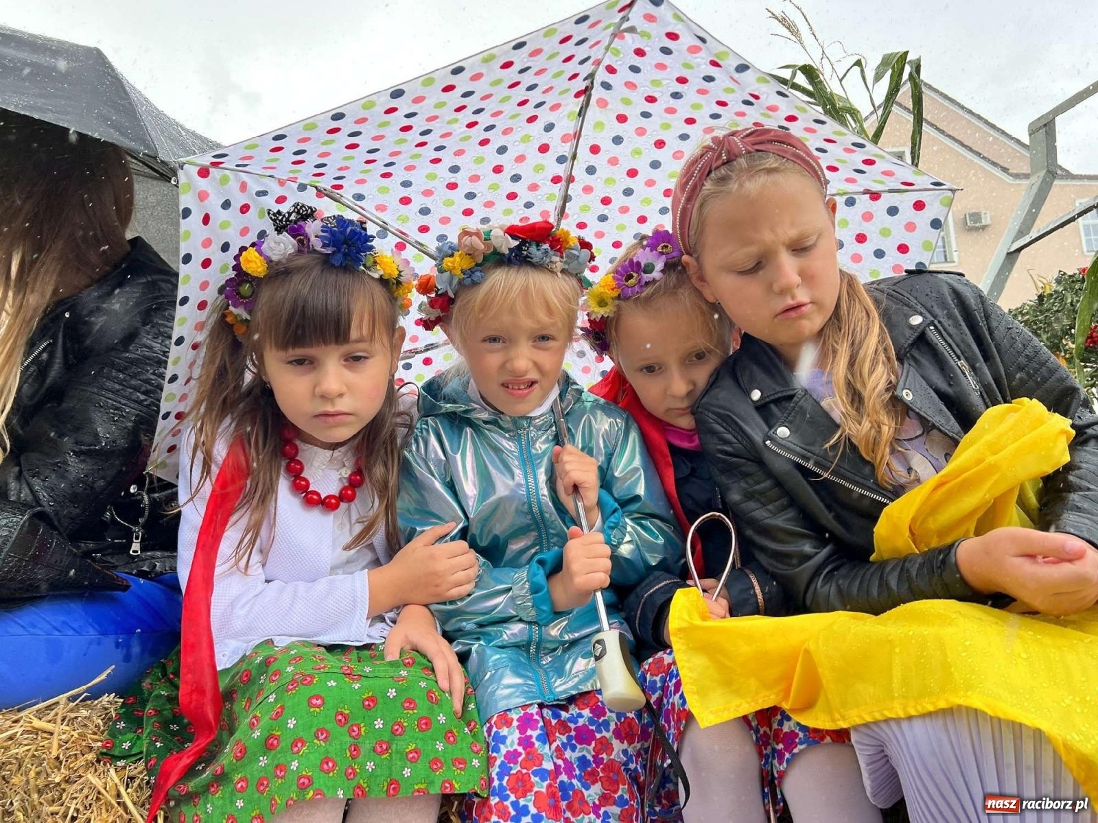 Zdjęcie w galerii na portalu naszraciborz.pl: W Pietrowicach Wielkich na korowód lunął deszcz, ale odczekali i ruszyli [FOTO i WIDEO] wiadomości z regionu