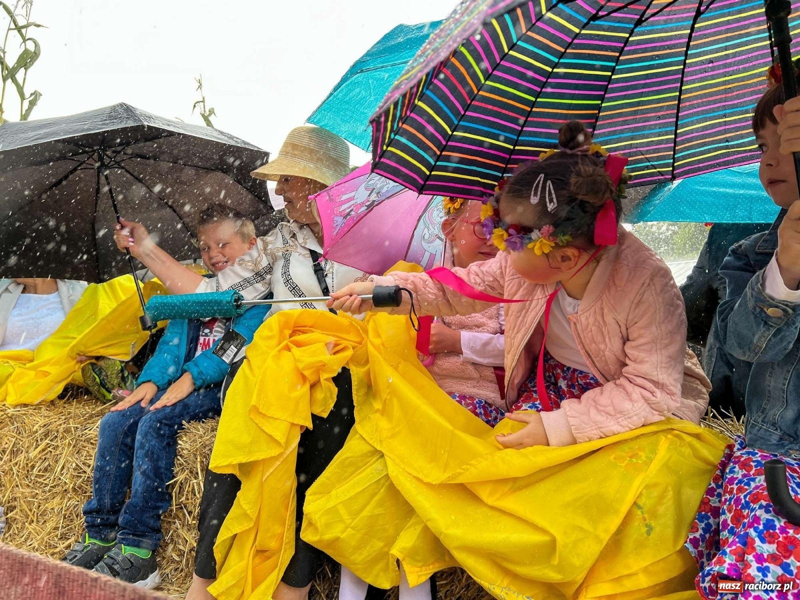 Zdjęcie w galerii na portalu naszraciborz.pl: W Pietrowicach Wielkich na korowód lunął deszcz, ale odczekali i ruszyli [FOTO i WIDEO] wiadomości z regionu