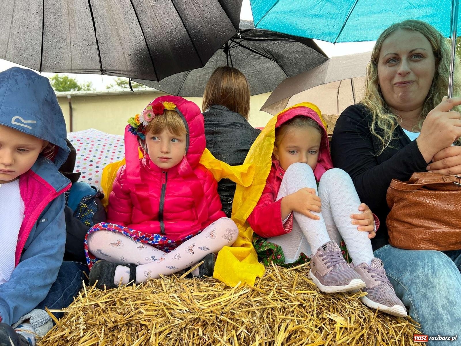 Zdjęcie w galerii na portalu naszraciborz.pl: W Pietrowicach Wielkich na korowód lunął deszcz, ale odczekali i ruszyli [FOTO i WIDEO] wiadomości z regionu